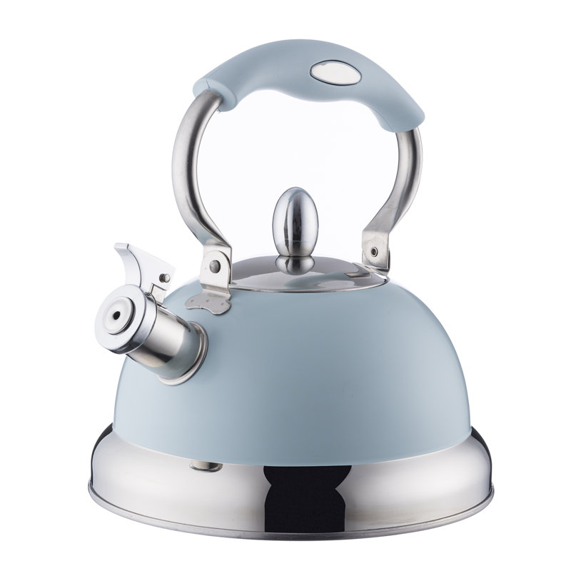 Typhoon 2.5 L Stainless Steel Whistling Stove Top Kettle & Reviews